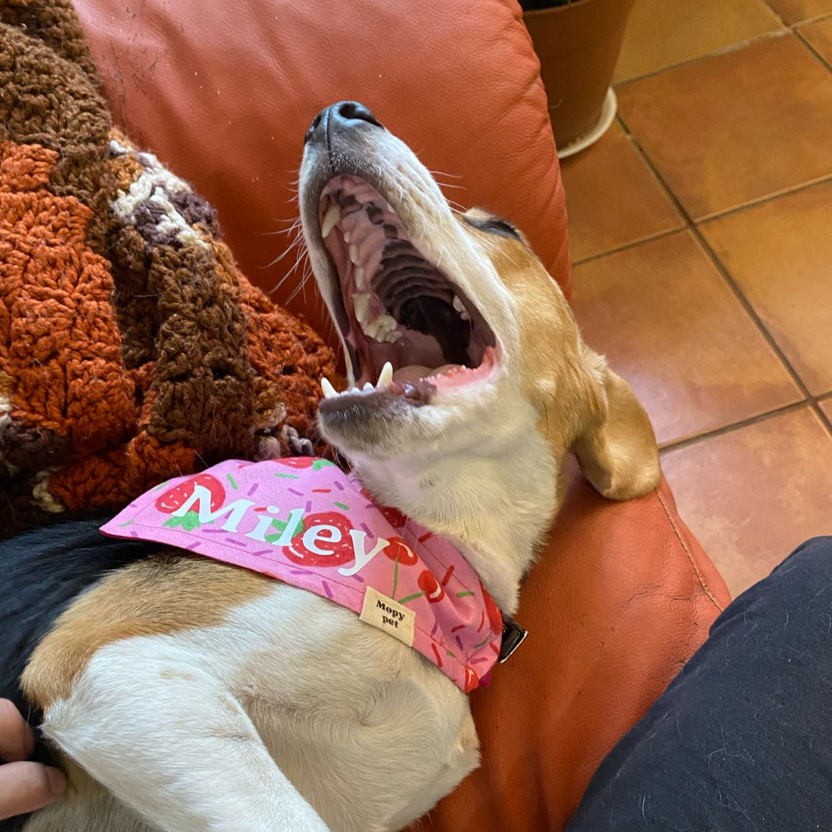 Bandana "Jalea"