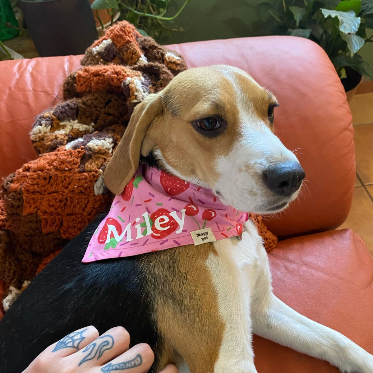Personaliza tu bandana