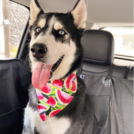 Bandana "Sandillita"