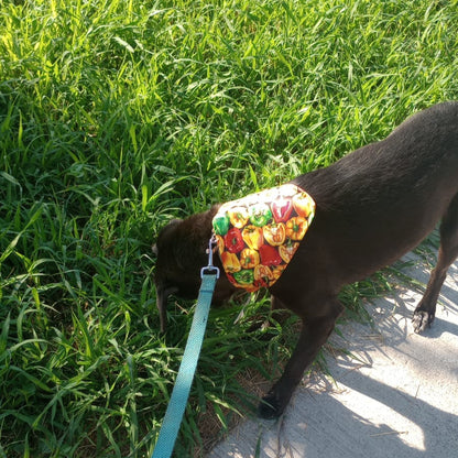 Bandana "Sazón"