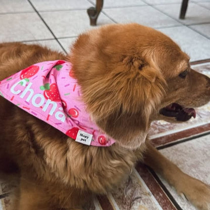 Bandana "Jalea"