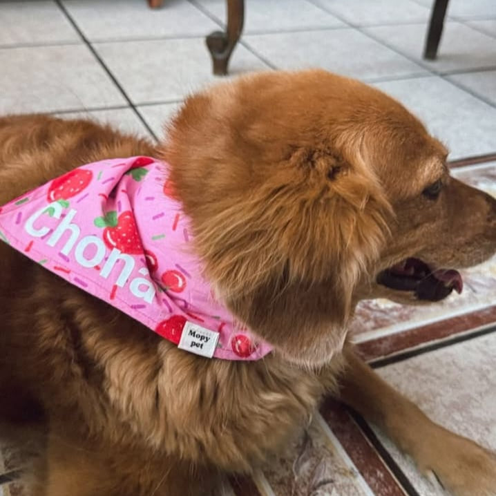 Personaliza tu bandana