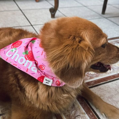 Personaliza tu bandana