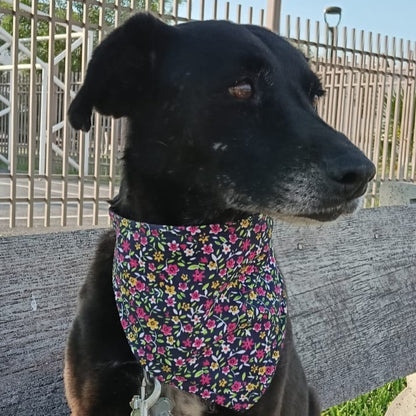 Bandanas "Hortensia"