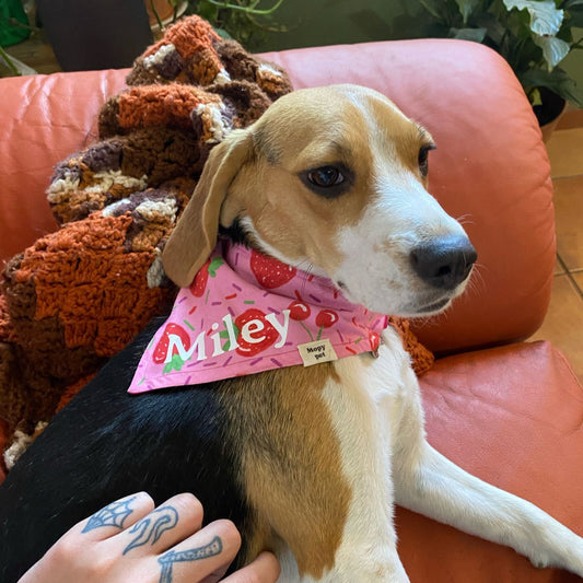 Bandana "Jalea"